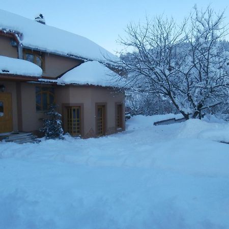 Karpatskiy Domyk Izki Exterior photo