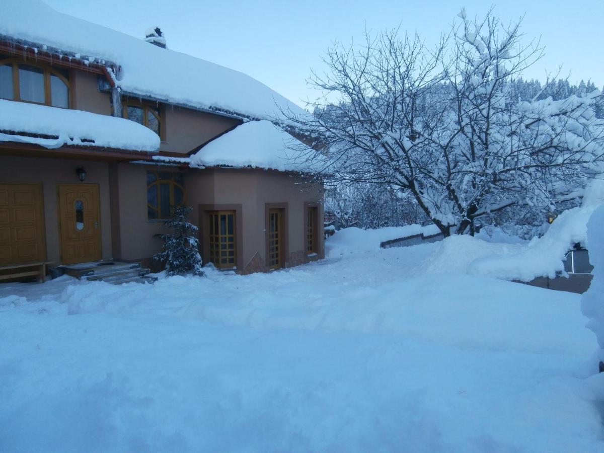 Karpatskiy Domyk Izki Exterior photo